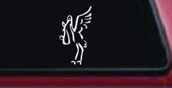 Stork