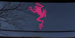 Frog Car or Truck Window Decal Sticker (Hot Pink)