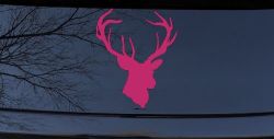 Big Buck Deer Hunting Car or Truck Window Decal Sticker (Hot Pink)