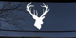 Big Buck Deer Hunting Car or Truck Window Decal Sticker
