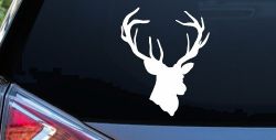 Big Buck Deer Hunting Car or Truck Window Decal Sticker