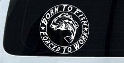 Born To Fish Forced To Work Fishing Car or Truck Window Decal Sticker