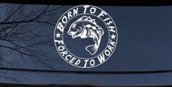 Born To Fish Forced To Work Fishing Car or Truck Window Decal Sticker