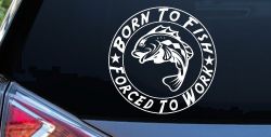 Born To Fish Forced To Work Fishing Car or Truck Window Decal Sticker