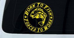 Born To Fish Forced To Work Fishing Car or Truck Window Decal Sticker (Yellow)