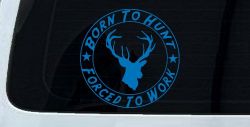Born To Hunt Forced to Work Hunting Car or Truck Window Decal Sticker (Sky Blue)