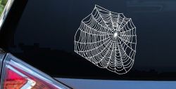 Spider Web Animals Car or Truck Window Decal Sticker
