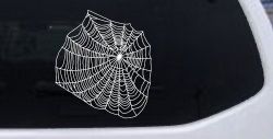 Spider Web Animals Car or Truck Window Decal Sticker