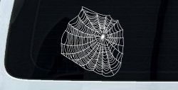 Spider Web Animals Car or Truck Window Decal Sticker