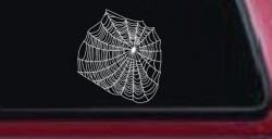 Spider Web Animals Car or Truck Window Decal Sticker