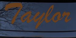 Taylor (Copper)