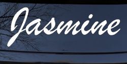 Jasmine
