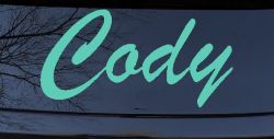 Cody (Mint)