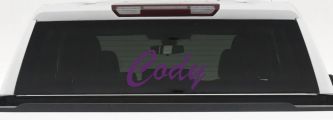 Cody (Violet)