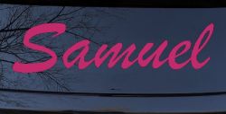 Samuel (Hot Pink)