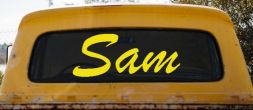 Sam (Yellow)