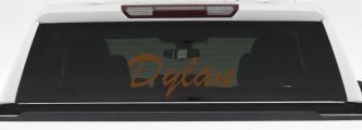 Dylan (Copper)