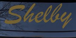 Shelby (Gold)