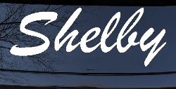 Shelby