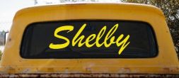 Shelby (Yellow)