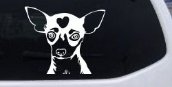 Chihuahua Dog Car or Truck Window Decal Sticker