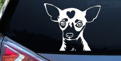 Chihuahua Dog Car or Truck Window Decal Sticker