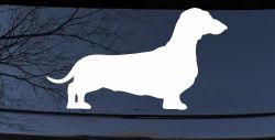 Dachshund Dog Car or Truck Window Decal Sticker