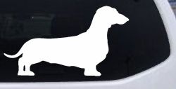 Dachshund Dog Car or Truck Window Decal Sticker