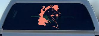 Horse Head (Coral)