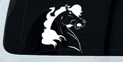 Horse Head