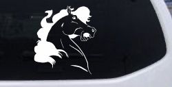 Horse Head