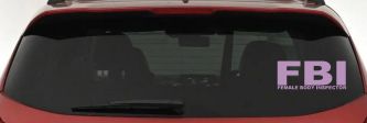FBI Female Body Inspector Funny Car or Truck Window Decal Sticker (Lilac)