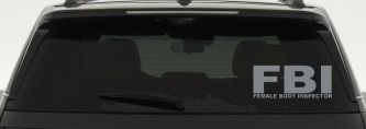 FBI Female Body Inspector Funny Car or Truck Window Decal Sticker (Telegrey)