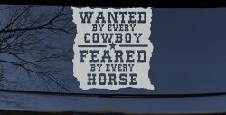 Wanted By Cowboys Feared By Horses Western Rodeo Car or Truck Window Decal Sticker (Light Gray)