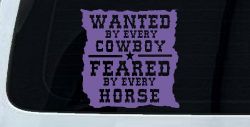 Wanted By Cowboys Feared By Horses Western Rodeo Car or Truck Window Decal Sticker (Purple)