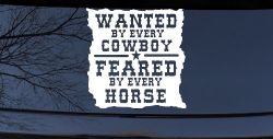 Wanted By Cowboys Feared By Horses Western Rodeo Car or Truck Window Decal Sticker