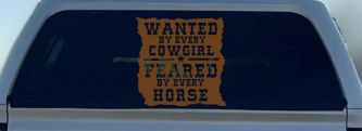 Wanted By Cowgirls Feared By Horses Western Rodeo Car or Truck Window Decal Sticker (Copper)