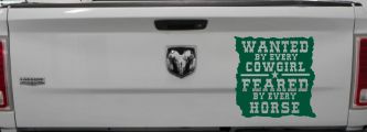 Wanted By Cowgirls Feared By Horses Western Rodeo Car or Truck Window Decal Sticker (Dark Green)