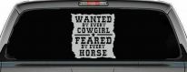 Wanted By Cowgirls Feared By Horses Western Rodeo Car or Truck Window Decal Sticker (Light Gray)