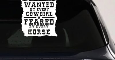 Cowgirl Wanted Feared By Horses Rodeo Truck Car Window Decal Sticker