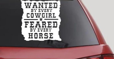 Cowgirl Wanted Feared By Horses Rodeo Truck Car Window Decal Sticker