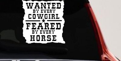 Cowgirl Wanted Feared By Horses Rodeo Truck Car Window Decal Sticker