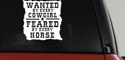 Cowgirl Wanted Feared By Horses Rodeo Truck Car Window Decal Sticker