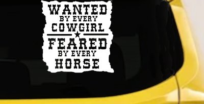 Cowgirl Wanted Feared By Horses Rodeo Truck Car Window Decal Sticker
