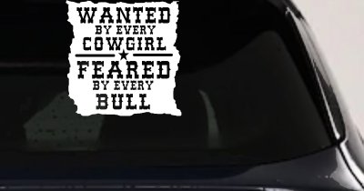 Western Rodeo Decal for Cars Trucks - Wanted by Cowgirls Feared by Bulls