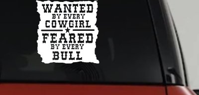 Western Rodeo Decal for Cars Trucks - Wanted by Cowgirls Feared by Bulls