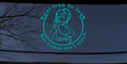 Feel Free to Look But Please Don't Touch Girl Car or Truck Window Decal Sticker (Turquoise)