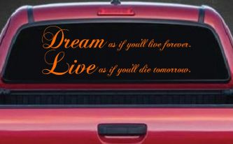 Dream as if youll live forever Car or Truck Window Decal Sticker (Orange)