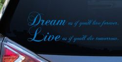 Dream Live Forever Decal Car Truck Window Vinyl Sticker Inspirational (Sky Blue)