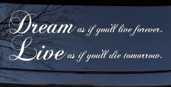 Dream as if youll live forever Car or Truck Window Decal Sticker